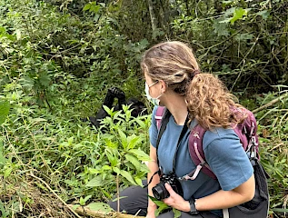 gorilla trekking