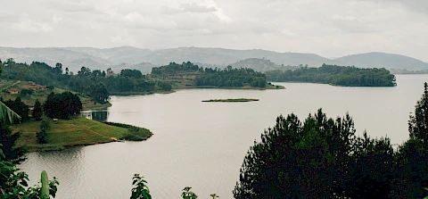 4-Day Bwindi Gorilla Trekking & Lake Bunyonyi Tour