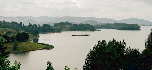 ৪ দিন উগান্ডা গরিলা ট্রেকিং এবং বুন্যনই হ্রদ