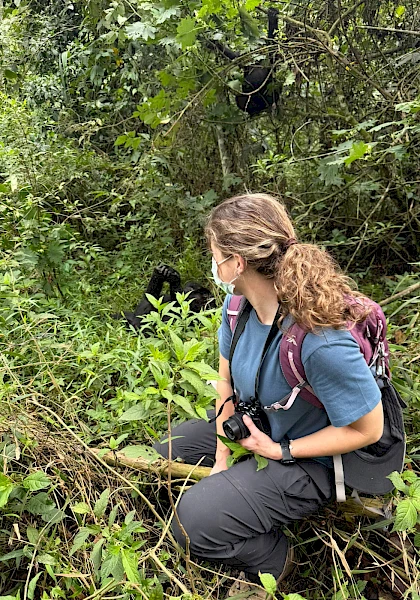 uganda gorilla trekking in bwindi forest