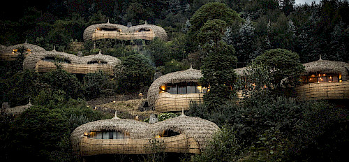 bisate lodge