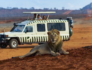 game drive in kenya