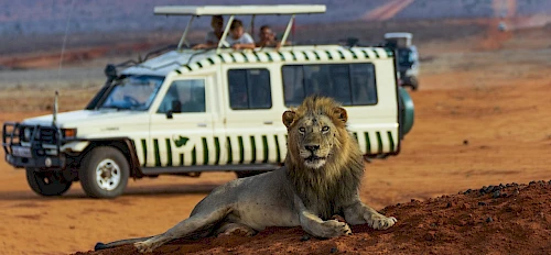 game drive in kenya