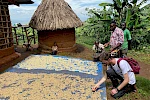 4 Days Mount Elgon Hiking