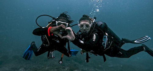 diving, Mafia Island