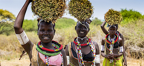 toposa tribe