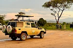 15 Days Epic Uganda Wildlife & Gorilla Safari Adventure