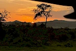 8 Days Uganda Wildlife Safari with Gorillas & Murchison Falls