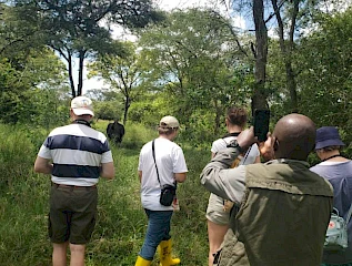 guided rhino tracking in ziwa rhino sanctuary