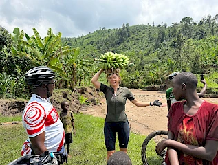 banana harvesting experience during the congo nile trail cycling