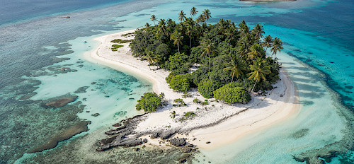 Mafia Island Tanzania: How to Get There