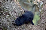17 Days Uganda Wildlife & Culture Safari