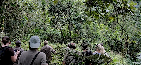 18-Day Uganda & Rwanda Gorilla, Chimpanzee & Wildlife Safari