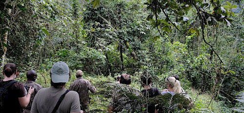 18-Day Uganda & Rwanda Gorilla, Chimpanzee & Wildlife Safari