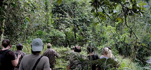 18-Day Uganda & Rwanda Safari: Gorillas, Chimpanzees, Wildlife & the Nile